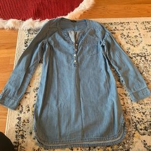 Express Denim Print Dress